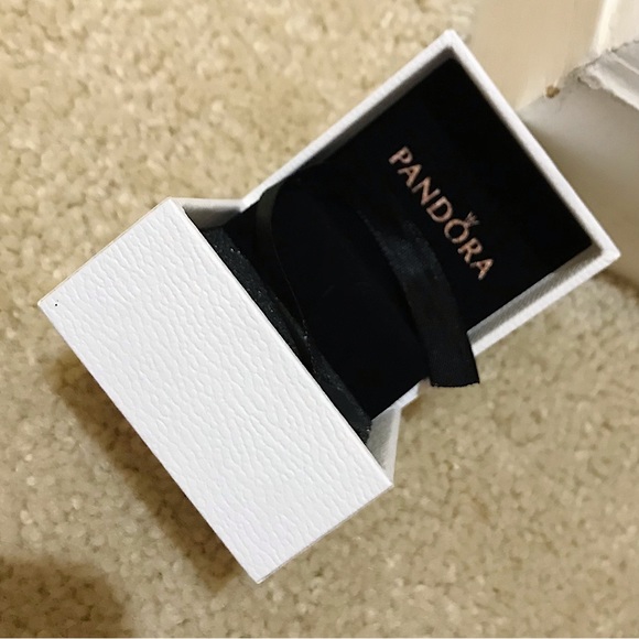🆕🔥PANDORA(CHARM BOX ONLY) SUPER CUTE CAN BE USED FOR UP TO 10 CHARMS/AUTHENTIC - Picture 4 of 5